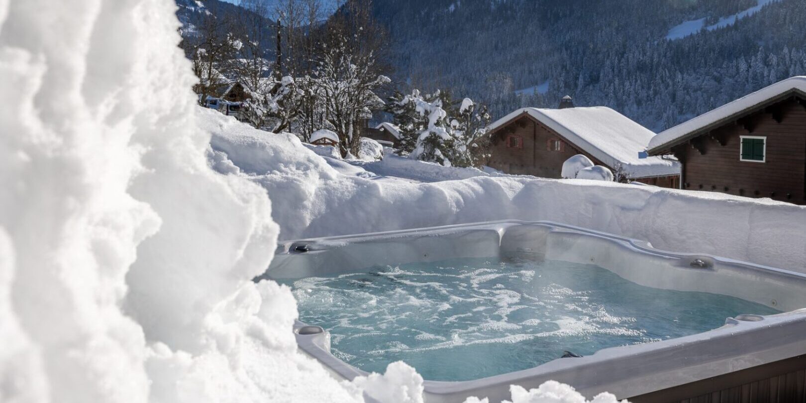 Chalet Ferme du Rys Chatel Les Portes du Soleil Frankrijk