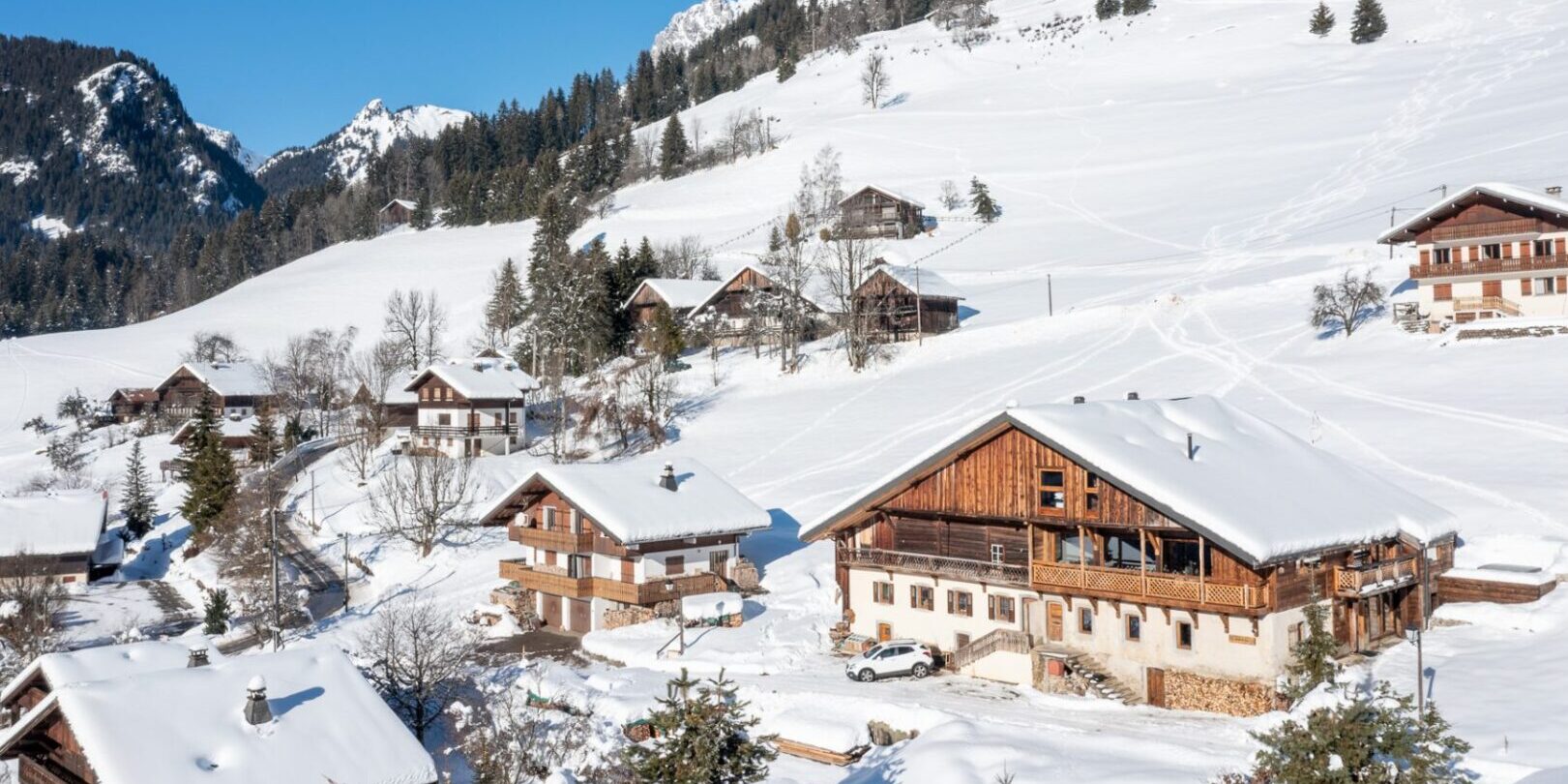 Chalet Ferme du Rys Chatel Les Portes du Soleil Frankrijk