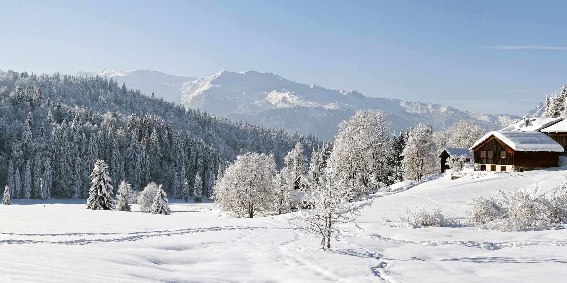 Les Suites d'Alexane Samoens Le Grand Massif Frankrijk